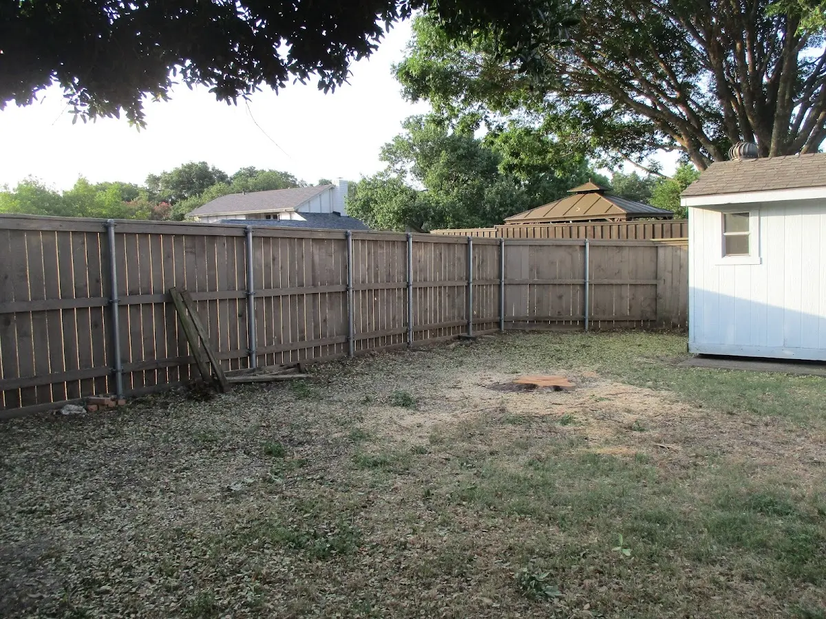 Cleared yard after professional tree removal in Vanceboro